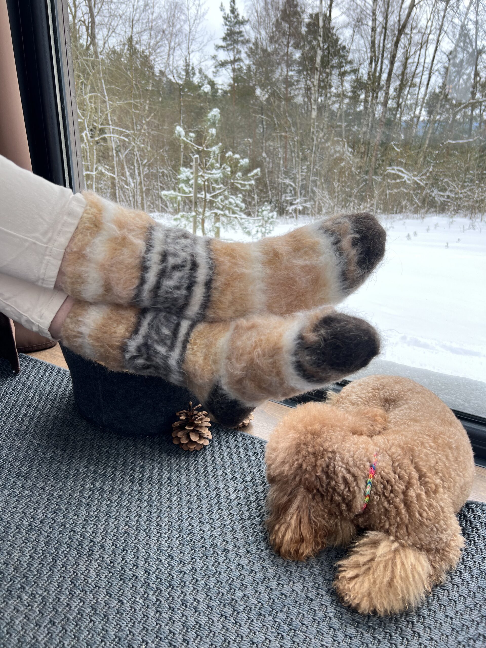 Gelbe Socken aus 100% natürlicher Hundewolle