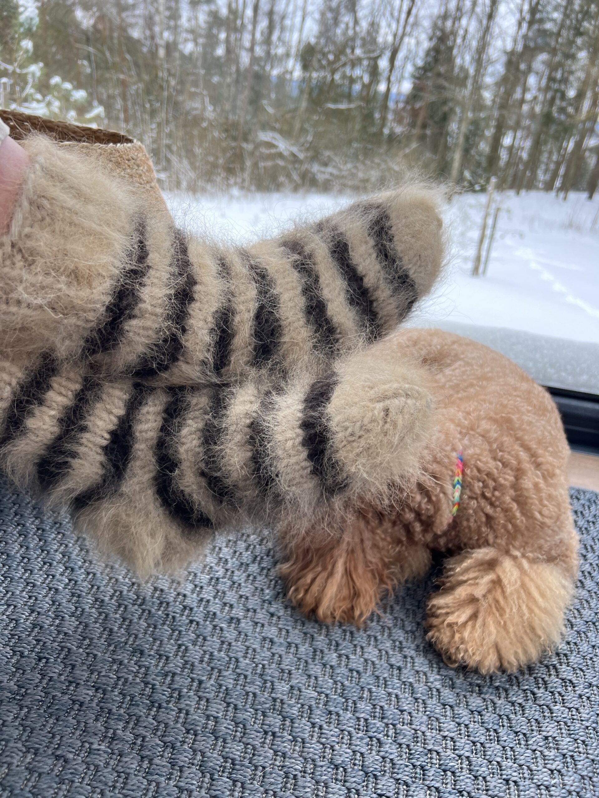 Natürliche 100% Siberian Husky Hund Wolle gestreifte Socken