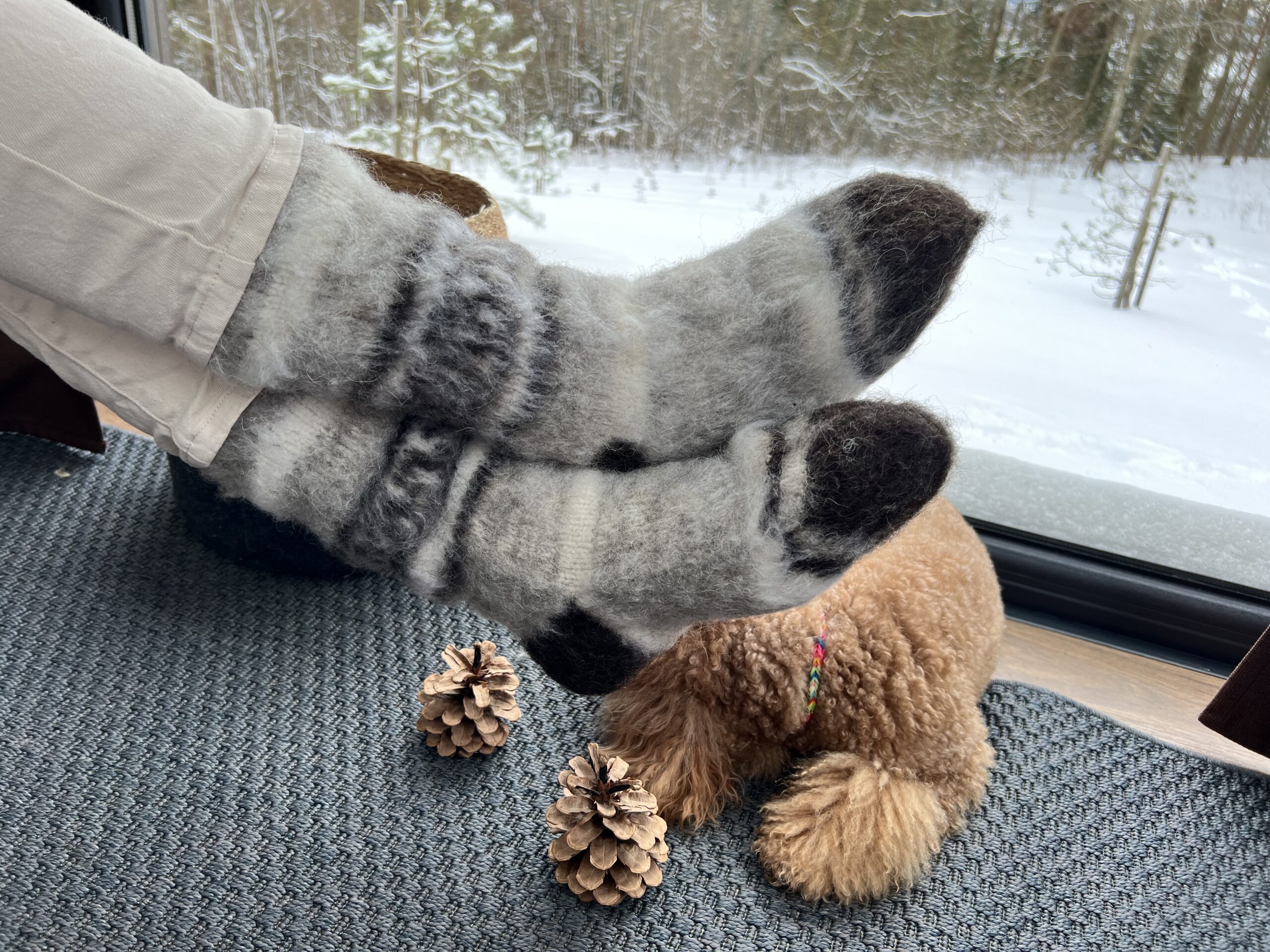 Natürliche 100% warme Hundewollsocken