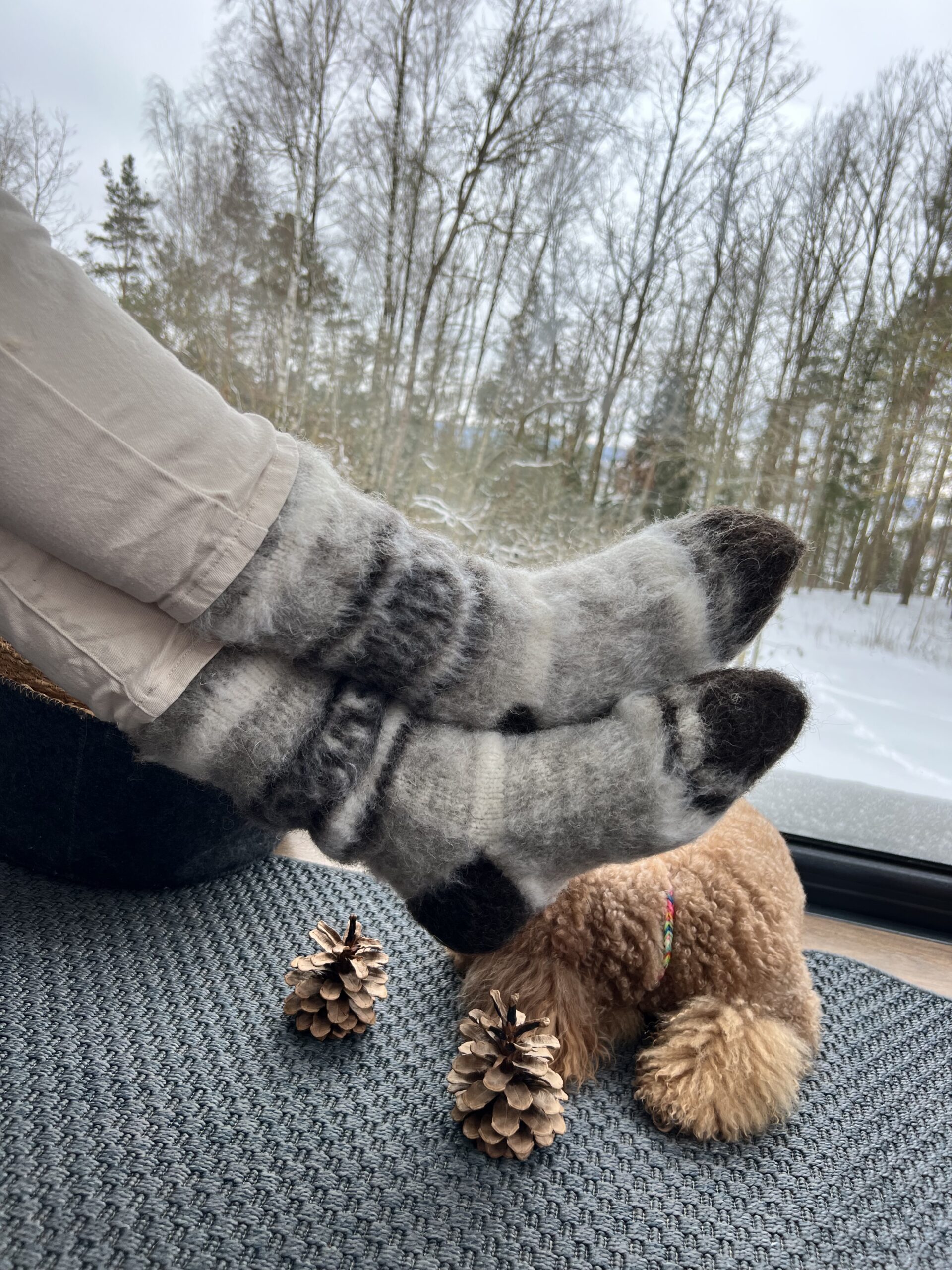 Natürliche 100% warme Hundewollsocken