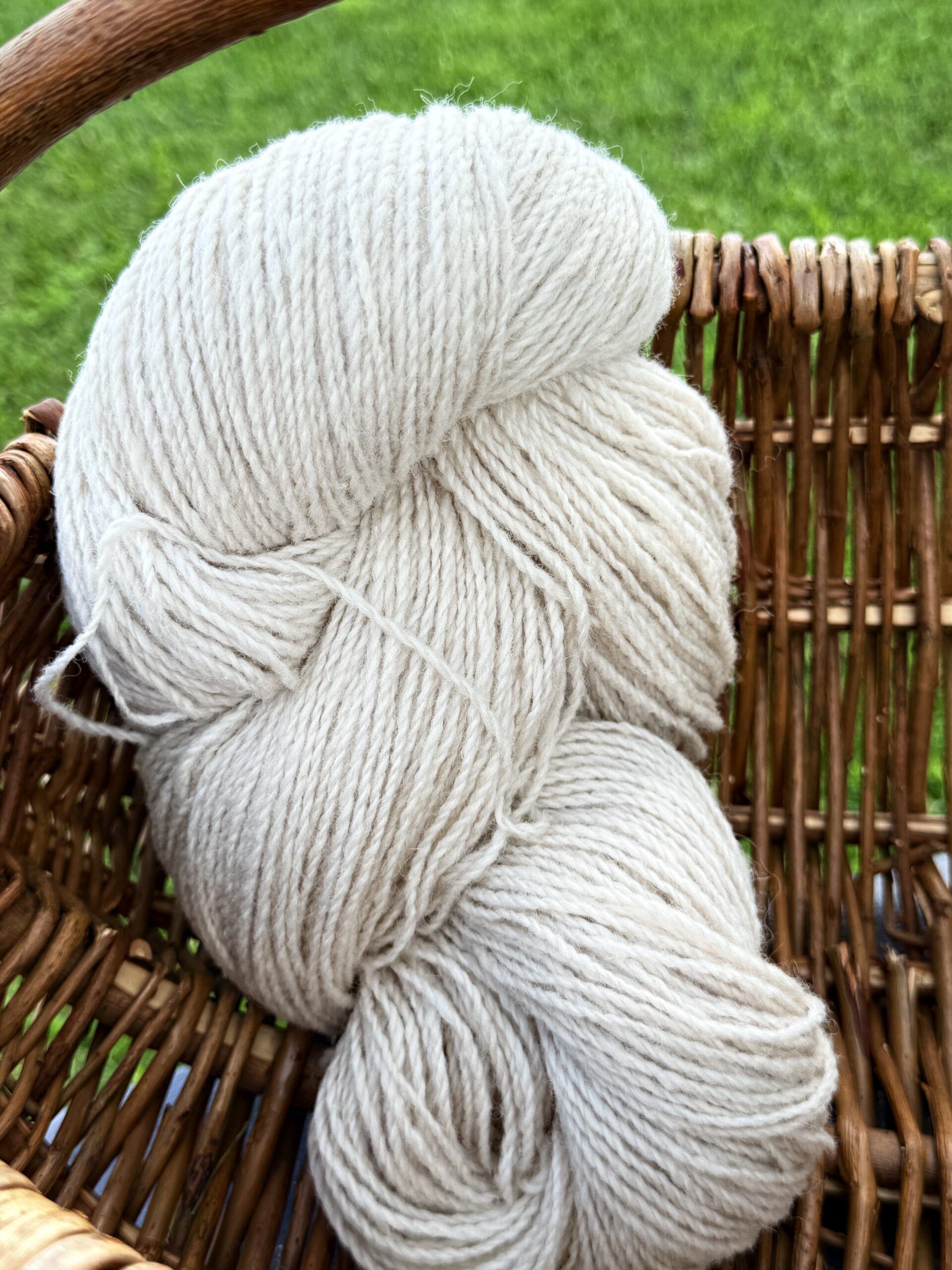 Neuseeländische Schafwolle Garn 1 kg – GELBLICH