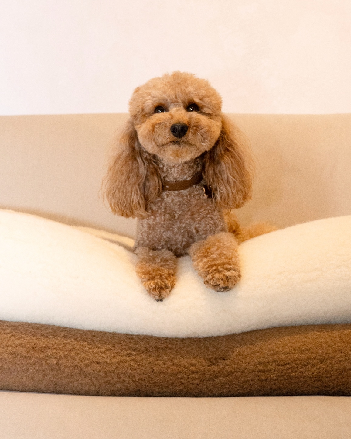 100% Merino-Wolldecke leicht, WoolLando