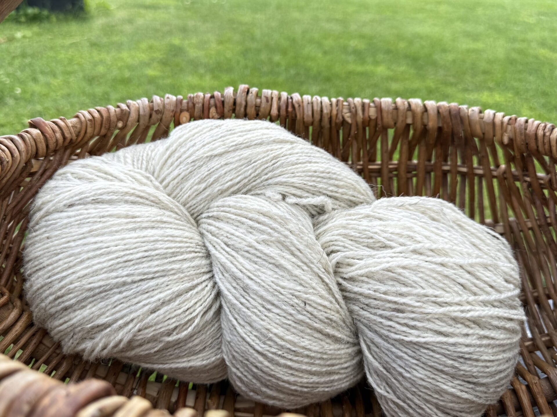 50% Hundewolle / 50% Schafwollgarn 1 kg – WHITE MELANGE, WoolLando