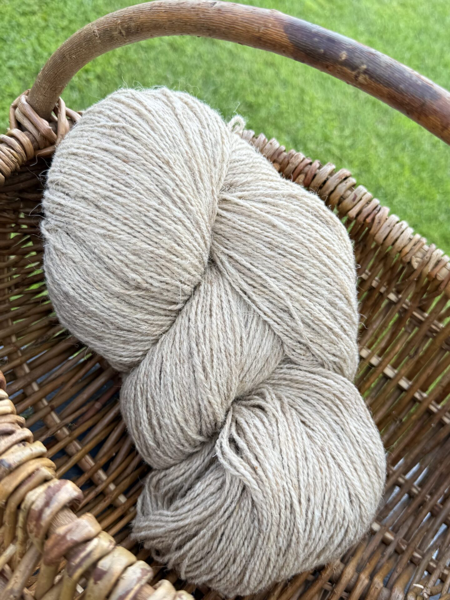 50% Hundewolle, 50% Schafwollegarn 1 kg – GELBLICH, WoolLando