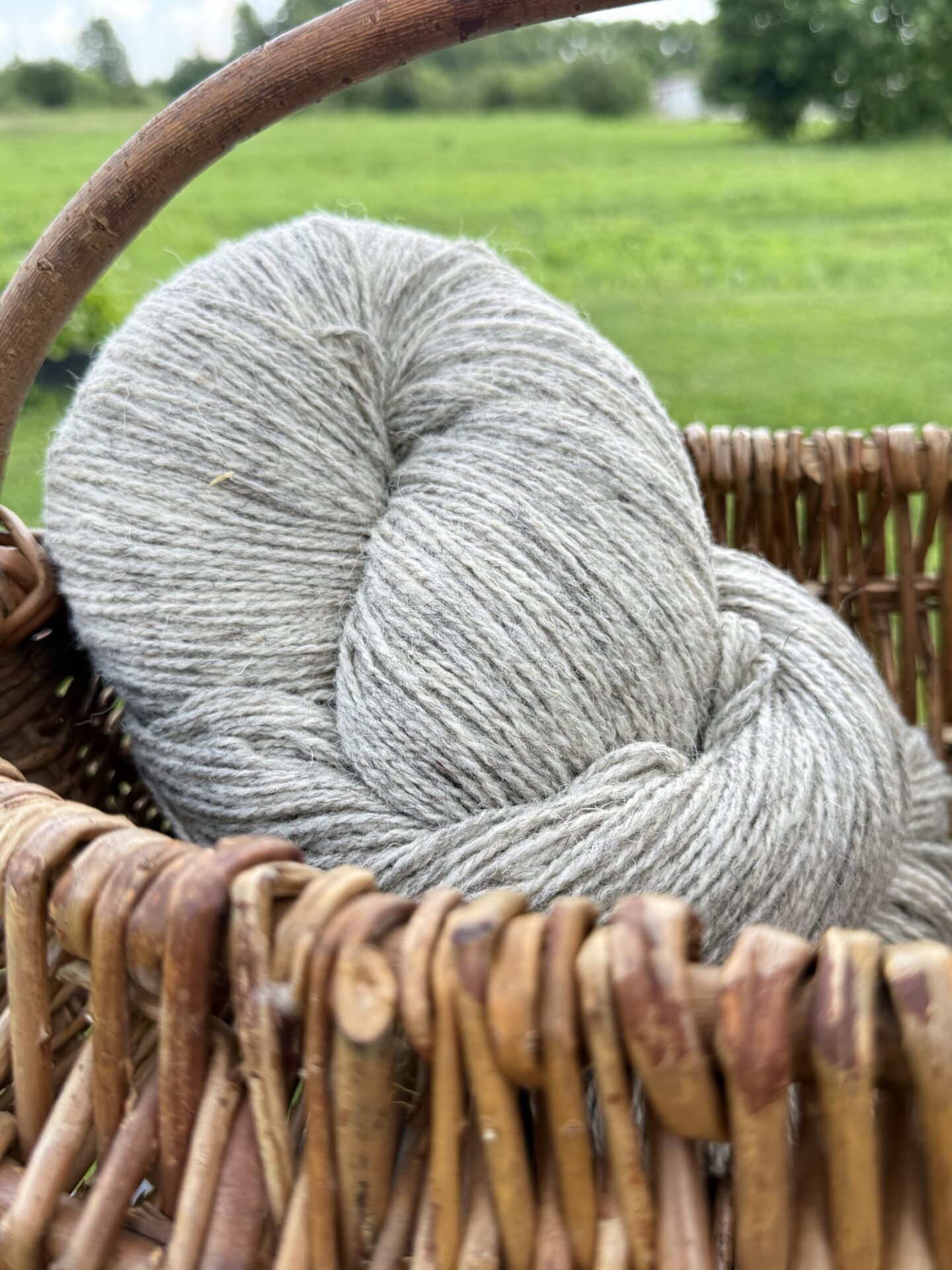 50% Hundewolle / 50% Schafwollgarn 1 kg – LIGHT GREY, WoolLando