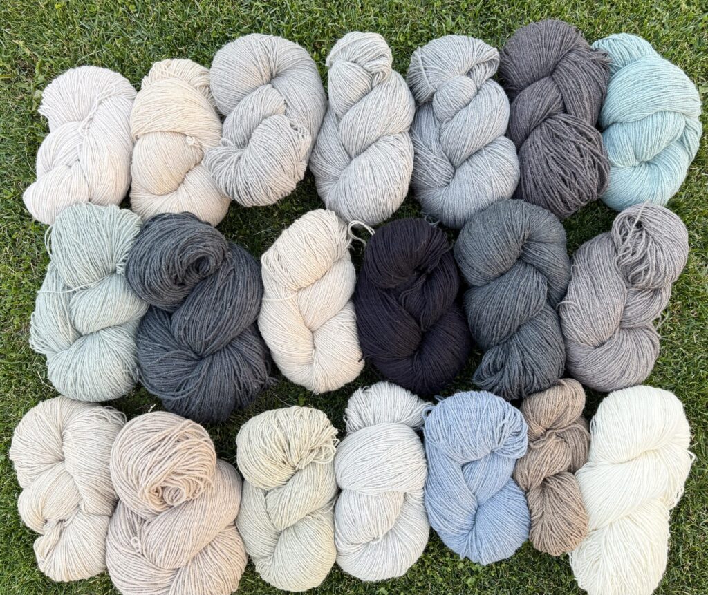Naturfarben Schafwollgarn-Set 10 kg, WoolLando