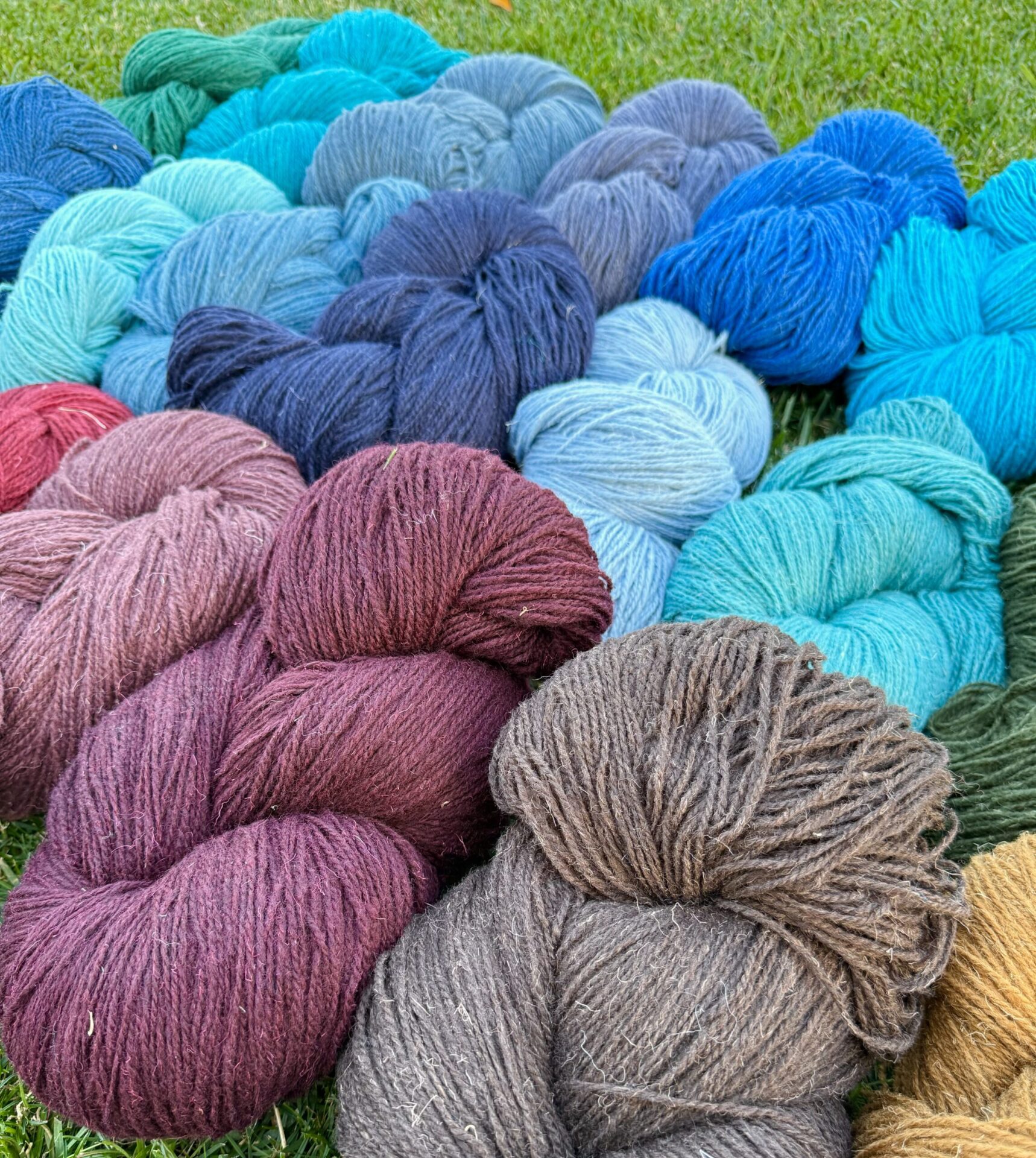 Buntes Schafwollgarn-Set 10 kg, WoolLando