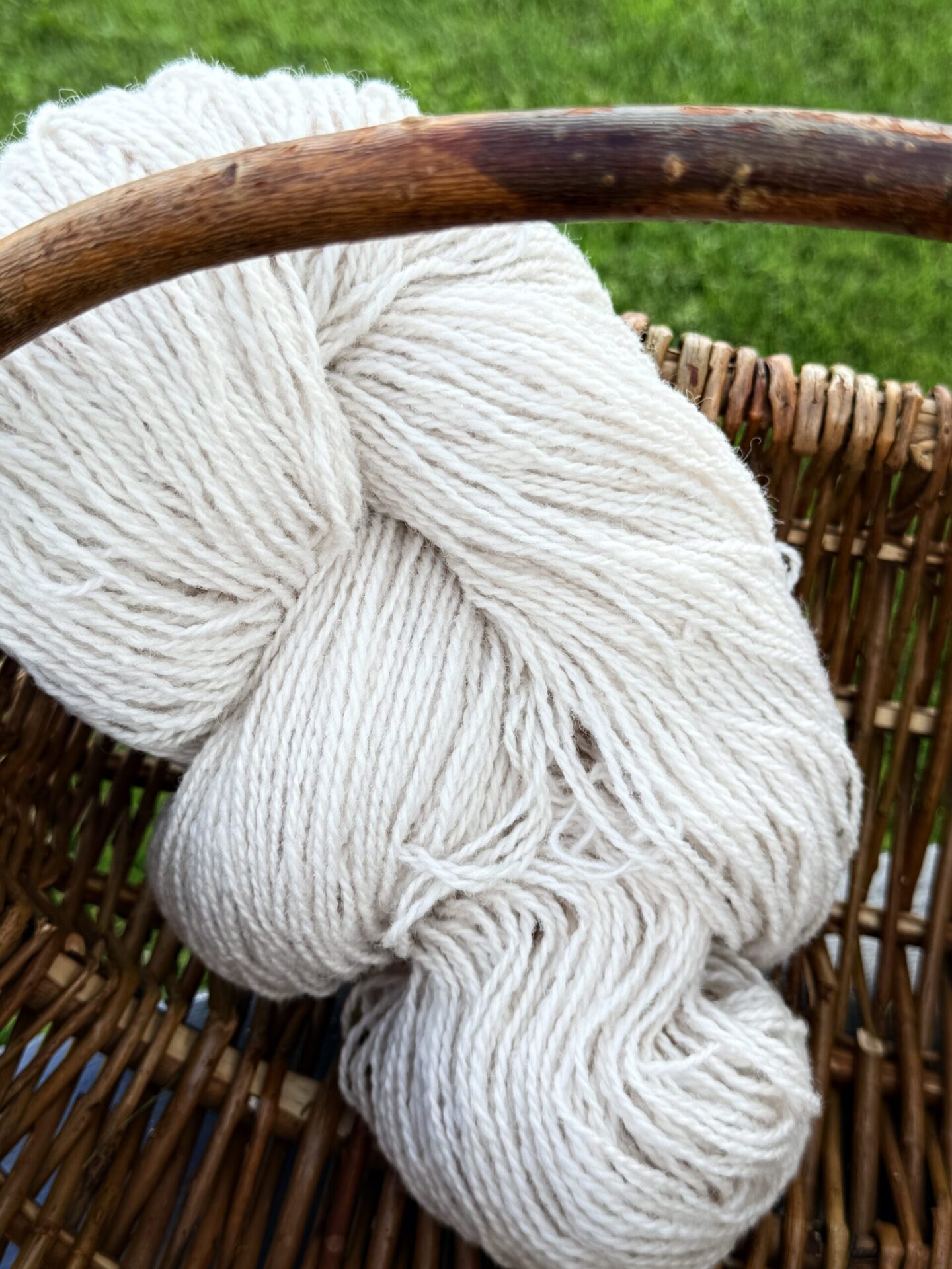 Neuseeland-Schafwollgarn 1 kg – CREAM, WoolLando