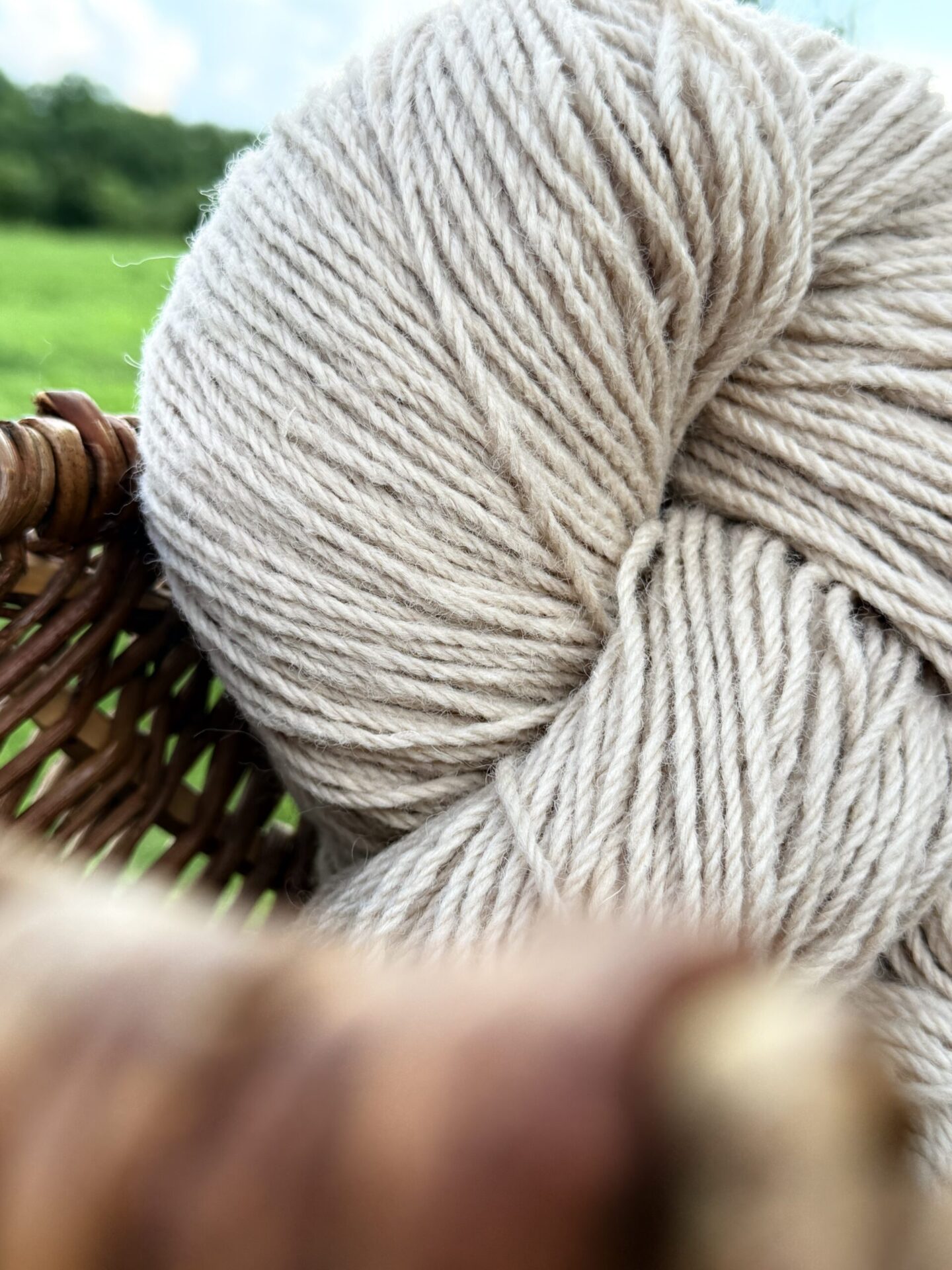 Neuseeland-Schafwollgarn 1 kg – LIGHT BROWN, WoolLando