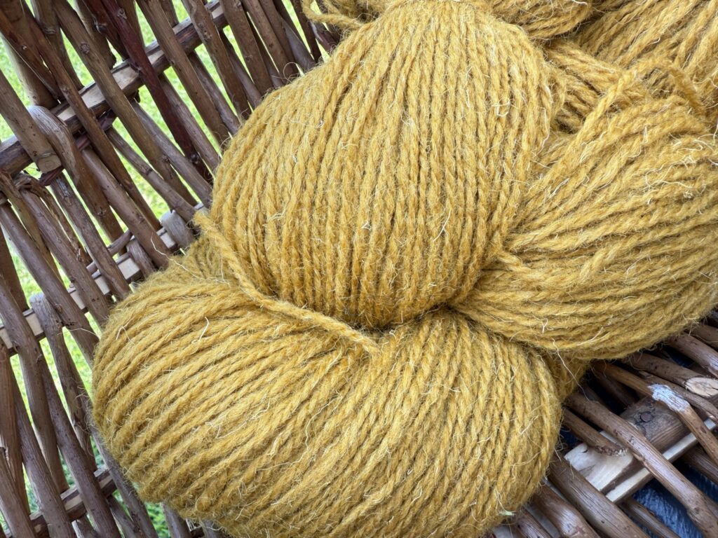 Schafwollgarn 1 kg – MUSTARD YELLOW, WoolLando